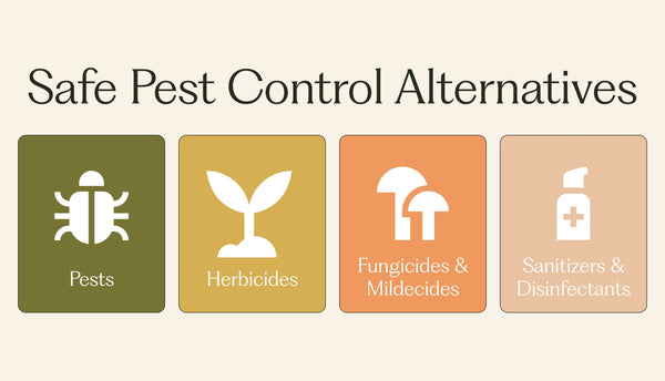 The best and safe natural pesticide alternatives