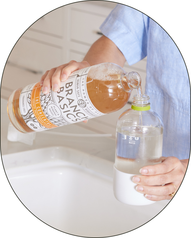 A person using a bottle of Branch Basics Concentrate to refill their reusable Glass All-Purpose bottle.
